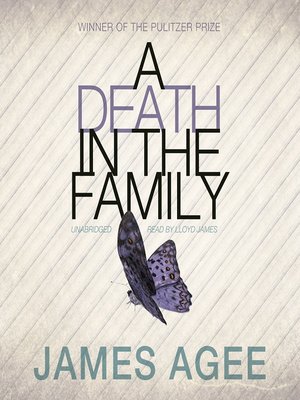 A Death in the Family - Audiobook